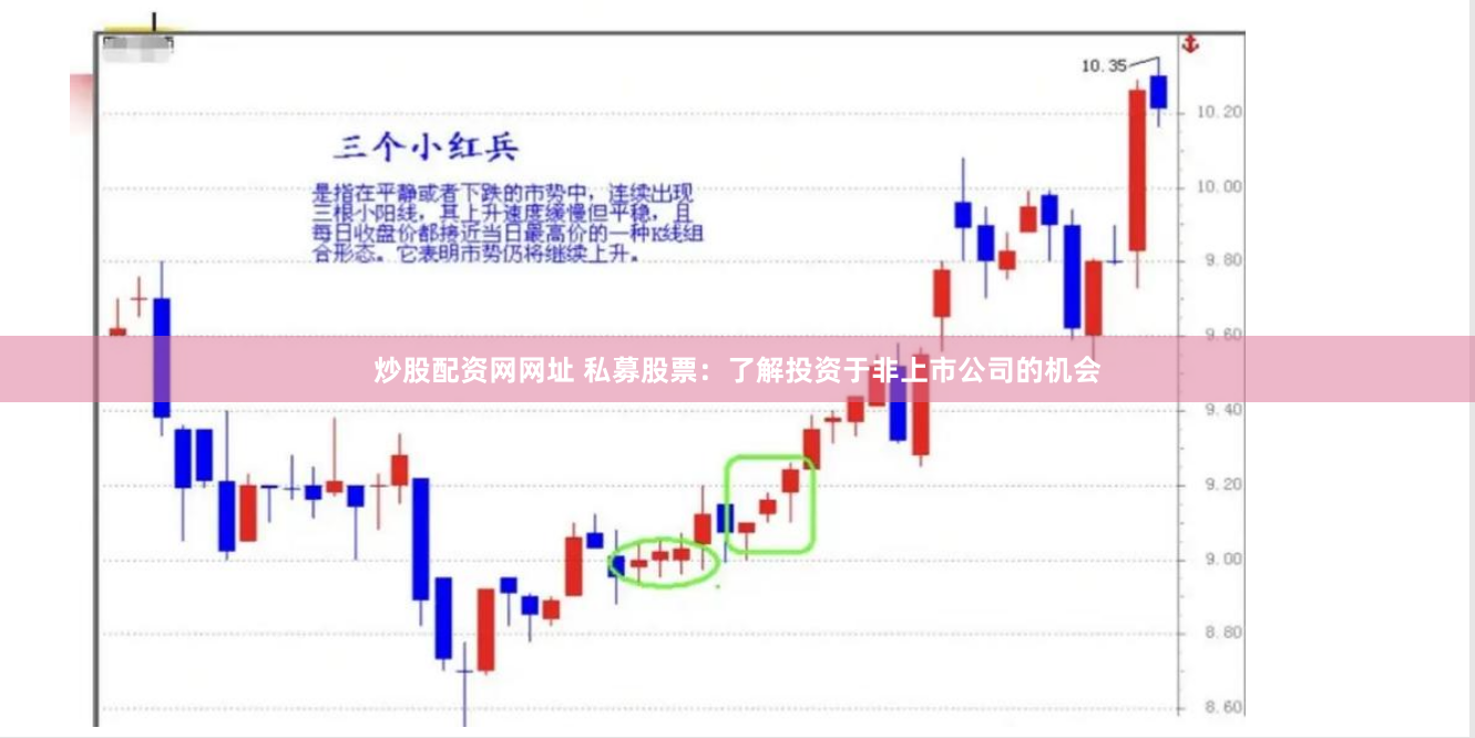 炒股配资网网址 私募股票：了解投资于非上市公司的机会