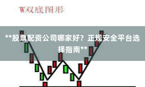 **股票配资公司哪家好？正规安全平台选择指南**
